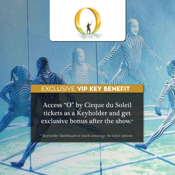 featured-o-cirque (1)